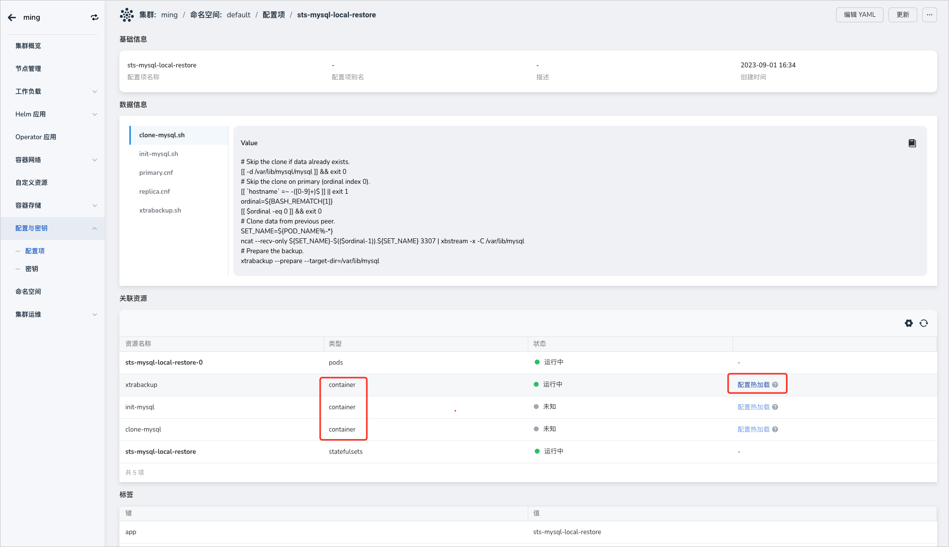 使用 config 作为数据卷